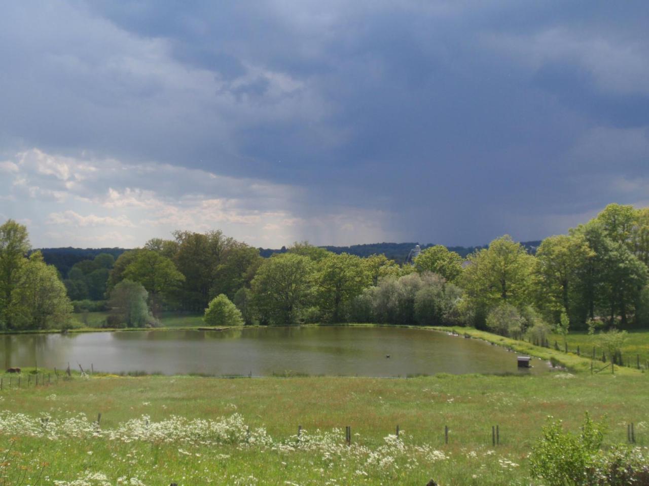 Domaine Des Pecheries Montel-de-Gelat Luaran gambar