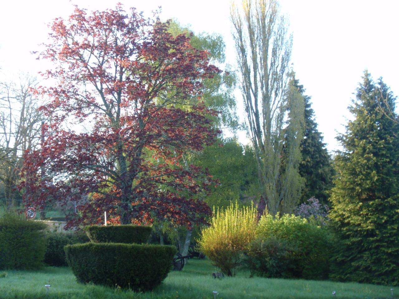 Domaine Des Pecheries Montel-de-Gelat Luaran gambar